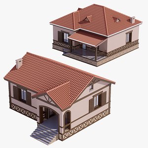 3D village house