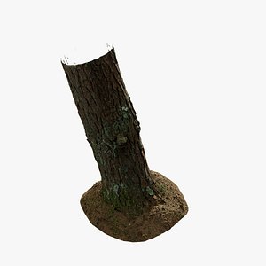 Anydrafts Pinus densata Trunk 02 3d model