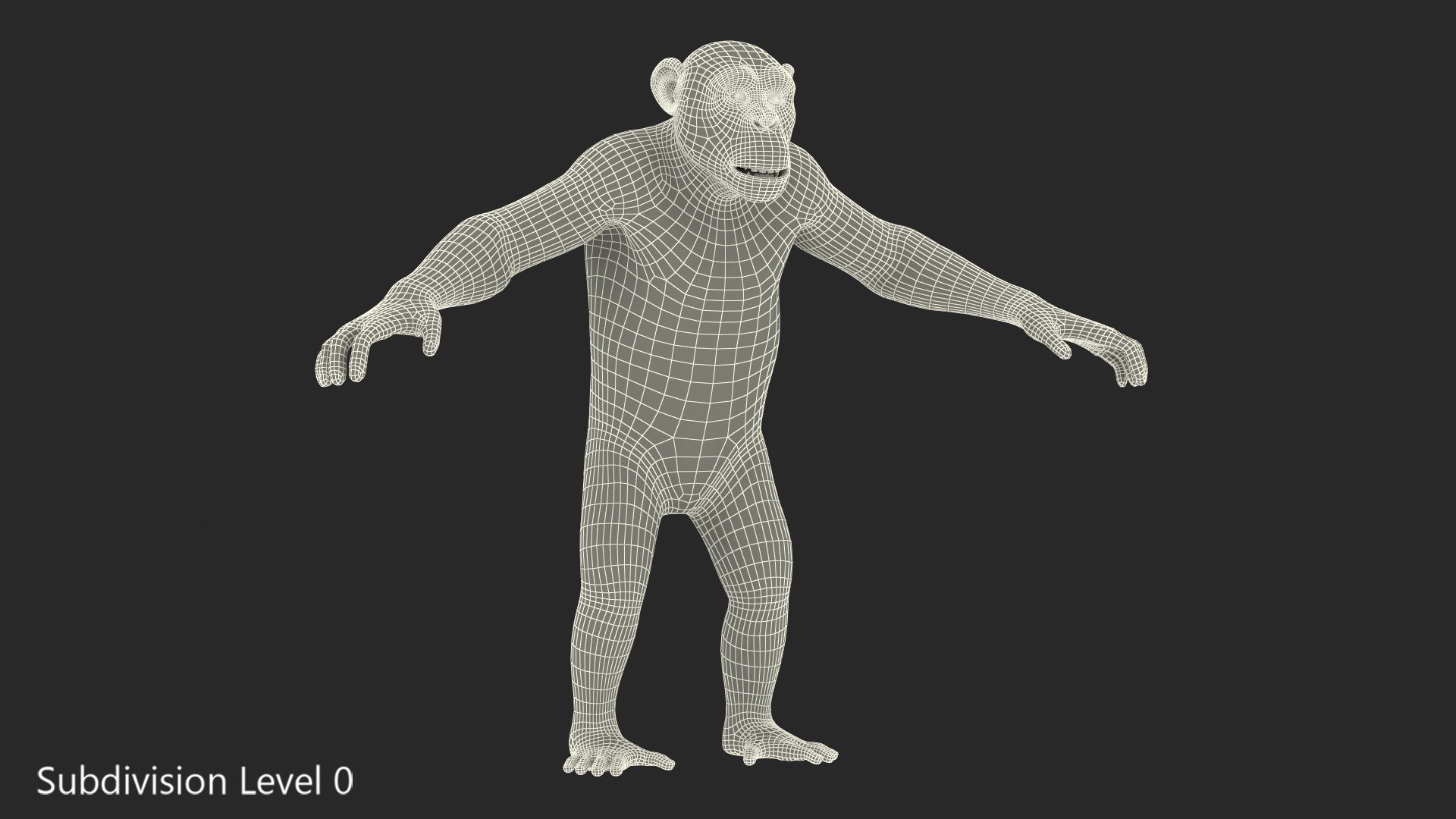 3D chimpanzee t-pose light fur animal - TurboSquid 1441049