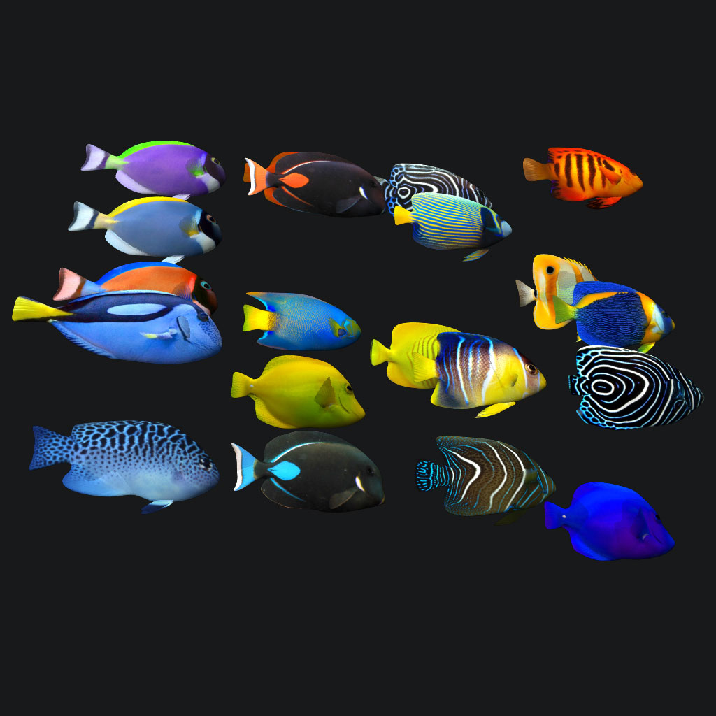 3D fish aquarium model - TurboSquid 1255203