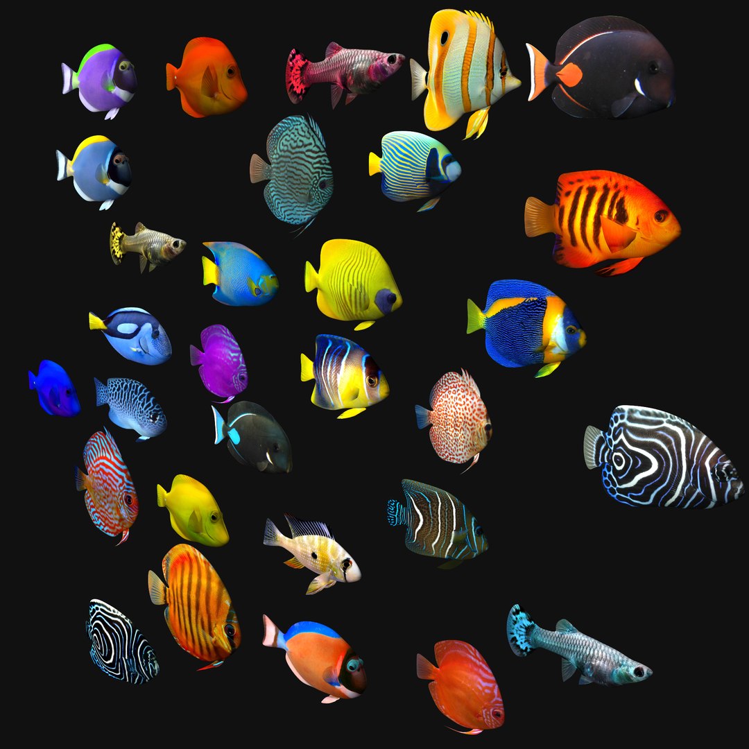 3D fish aquarium model - TurboSquid 1255203
