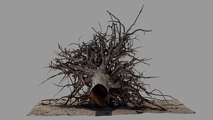 Dead Tree 011