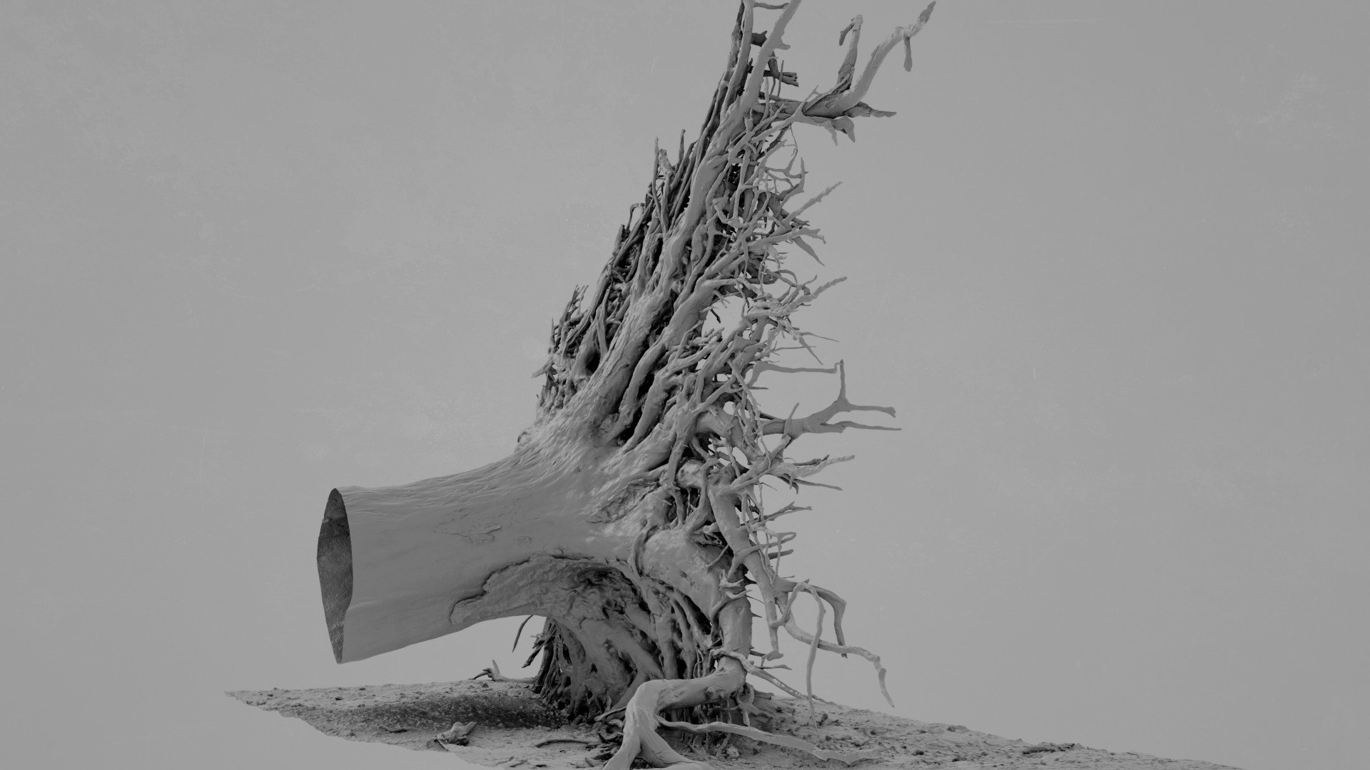 3D Dead Tree 011 - TurboSquid 2370881