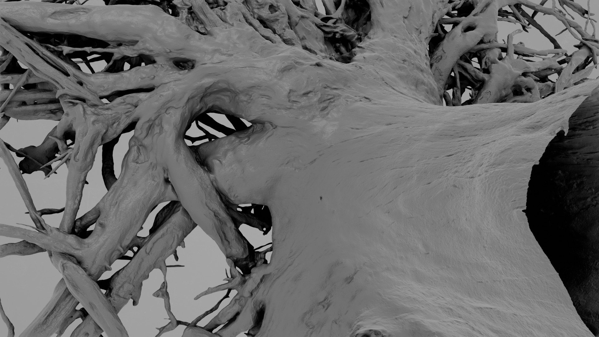 3D Dead Tree 011 - TurboSquid 2370881