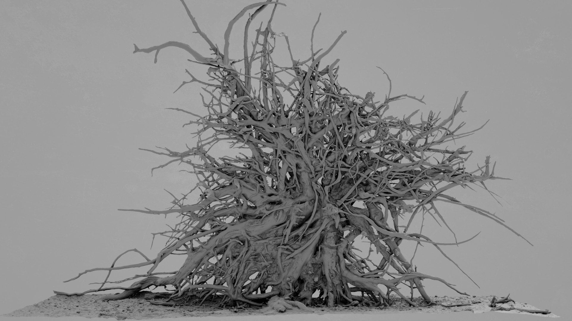 3D Dead Tree 011 - TurboSquid 2370881