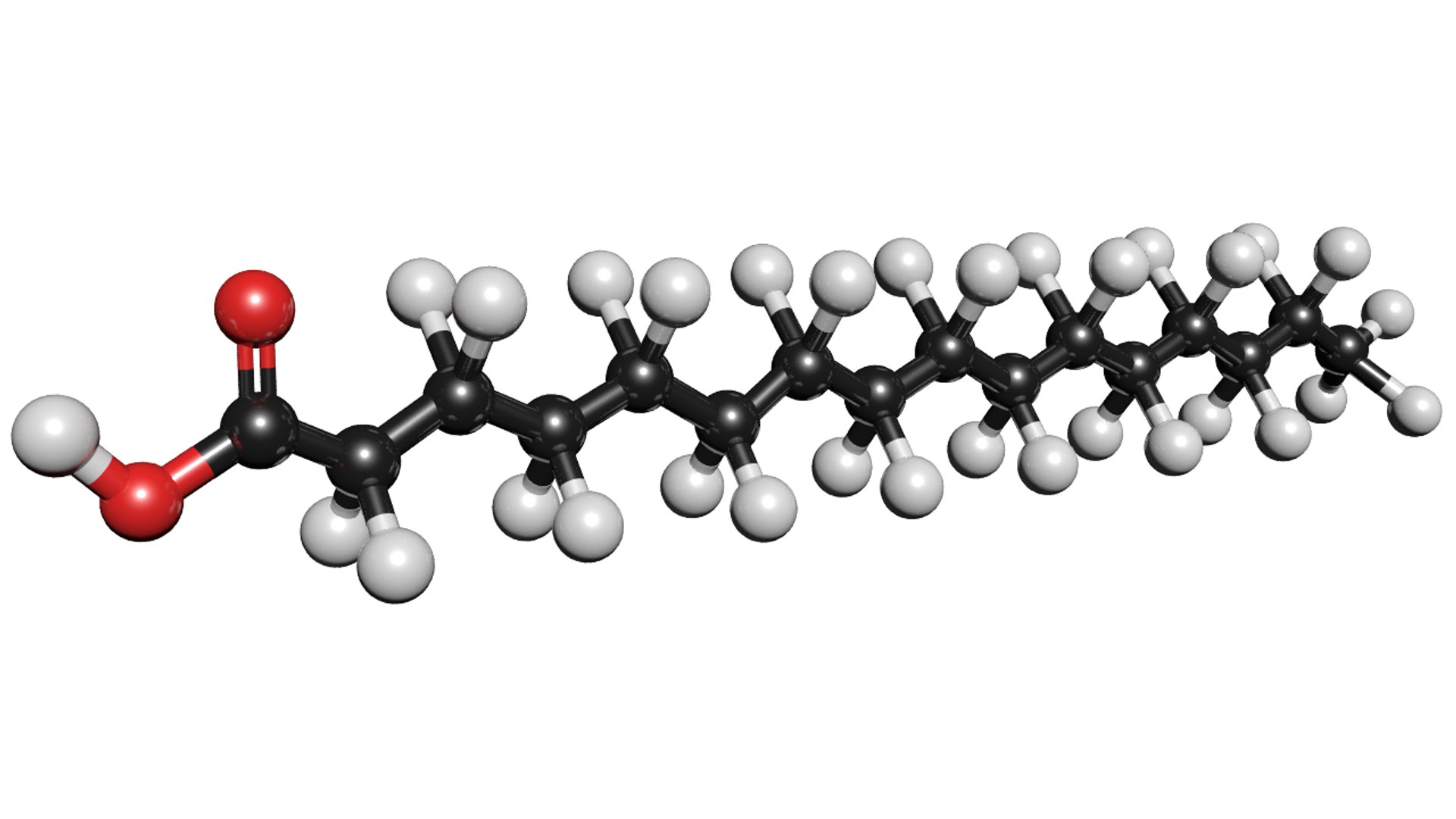 3D model molecule structure https://p.turbosquid.com/ts-thumb/6W/0WMnjP/CwEg0F4T/palmiticacid2/png/1563172500/1920x1080/fit_q87/5f003d7e74f178cb6a2e938334018777769d392c/palmiticacid2.jpg