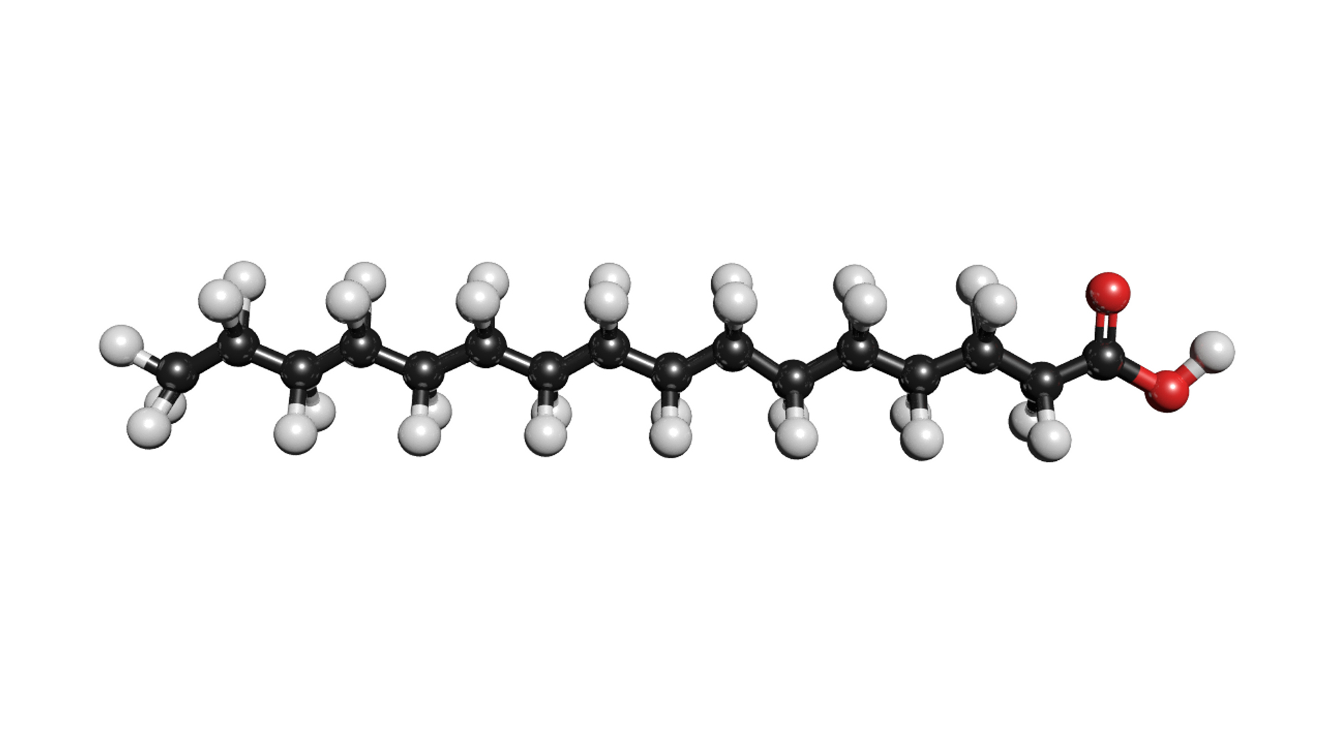 3D model molecule structure https://p.turbosquid.com/ts-thumb/6W/0WMnjP/LEyOJeaI/palmiticacid/png/1563172560/1920x1080/turn_fit_q99/61bf5560c4fe5bd9bae05883ad75b562f5f1eead/palmiticacid-1.jpg