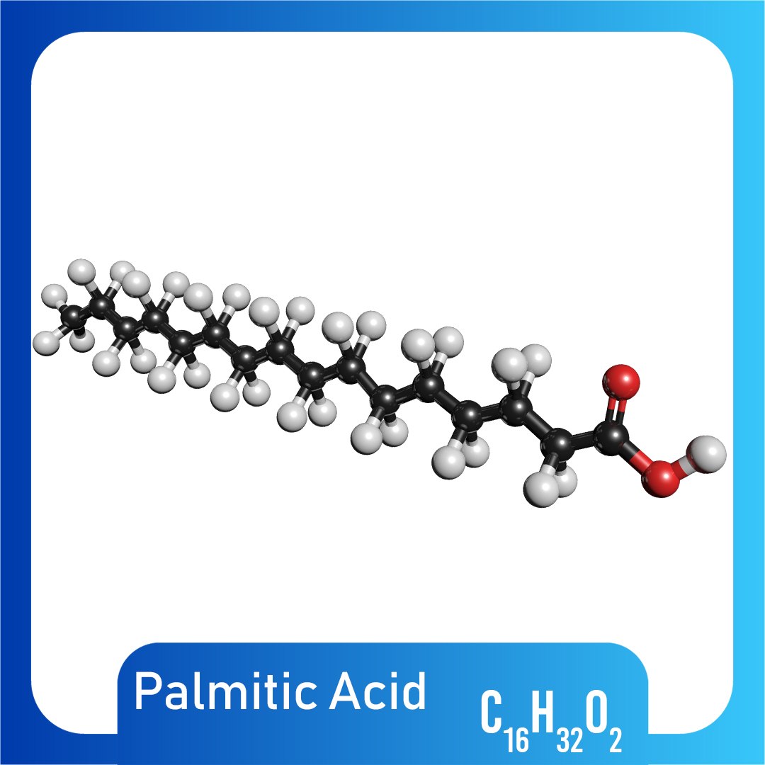 3D model molecule structure https://p.turbosquid.com/ts-thumb/6W/0WMnjP/p6aynWBM/apalmiticacid/jpg/1563172500/1920x1080/fit_q87/d8e335b67644da99fae7d79950d17bea336605e5/apalmiticacid.jpg