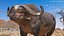 Cape Buffalo African Buffalo Rigged