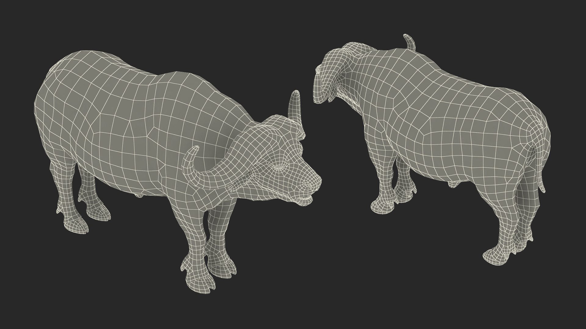 3D cape buffalo african rigged animal https://p.turbosquid.com/ts-thumb/6W/1l8I46/Skdm2Wf7/capebuffaloafricanbuffalorigged3dmodel024/jpg/1590712952/1920x1080/fit_q87/beb17a22a9cedd022722cefe8ee6d2a2f4f98b12/capebuffaloafricanbuffalorigged3dmodel024.jpg