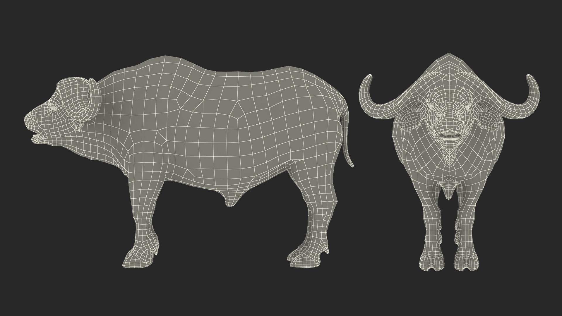 3D cape buffalo african rigged animal https://p.turbosquid.com/ts-thumb/6W/1l8I46/eZHhL3Rr/capebuffaloafricanbuffalorigged3dmodel022/jpg/1590712935/1920x1080/fit_q87/2fa901b258cf56565bbbb184501caf049661db9b/capebuffaloafricanbuffalorigged3dmodel022.jpg