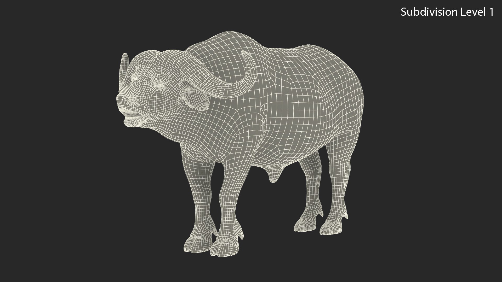 3D cape buffalo african rigged animal https://p.turbosquid.com/ts-thumb/6W/1l8I46/jjD3YO4m/capebuffaloafricanbuffalorigged3dmodel018/jpg/1590712897/1920x1080/fit_q87/651cc776c8aa901eca510e53603a643fe072f584/capebuffaloafricanbuffalorigged3dmodel018.jpg