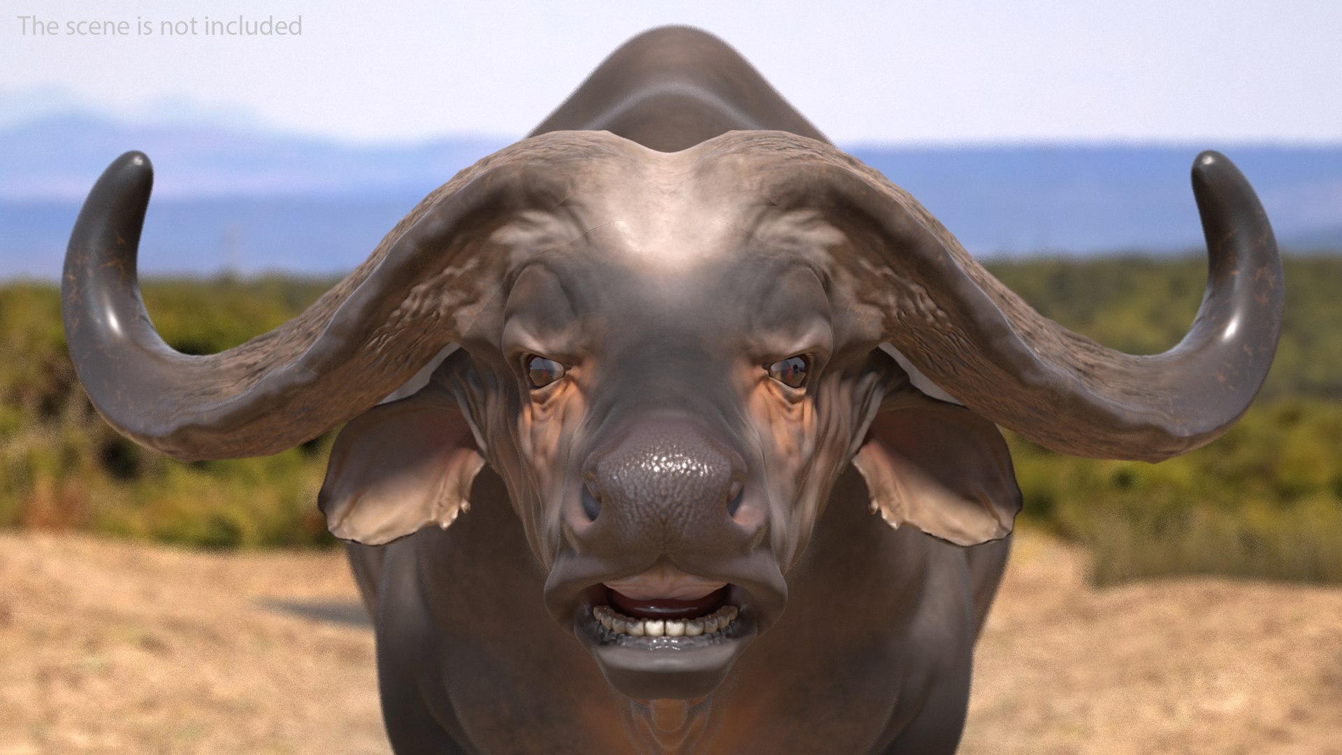 3D cape buffalo african rigged animal https://p.turbosquid.com/ts-thumb/6W/1l8I46/oCn6eK10/capebuffaloafricanbuffalorigged3dmodel004/jpg/1590712773/1920x1080/fit_q87/9252d7e1ccd049c88e25c78f1818bab419e3b200/capebuffaloafricanbuffalorigged3dmodel004.jpg