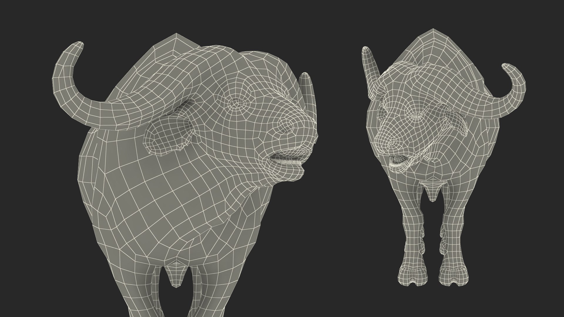 3D cape buffalo african rigged animal https://p.turbosquid.com/ts-thumb/6W/1l8I46/svNPVYGp/capebuffaloafricanbuffalorigged3dmodel027/jpg/1590712978/1920x1080/fit_q87/09c51a1938229cebdd44be770b92748126d4d917/capebuffaloafricanbuffalorigged3dmodel027.jpg