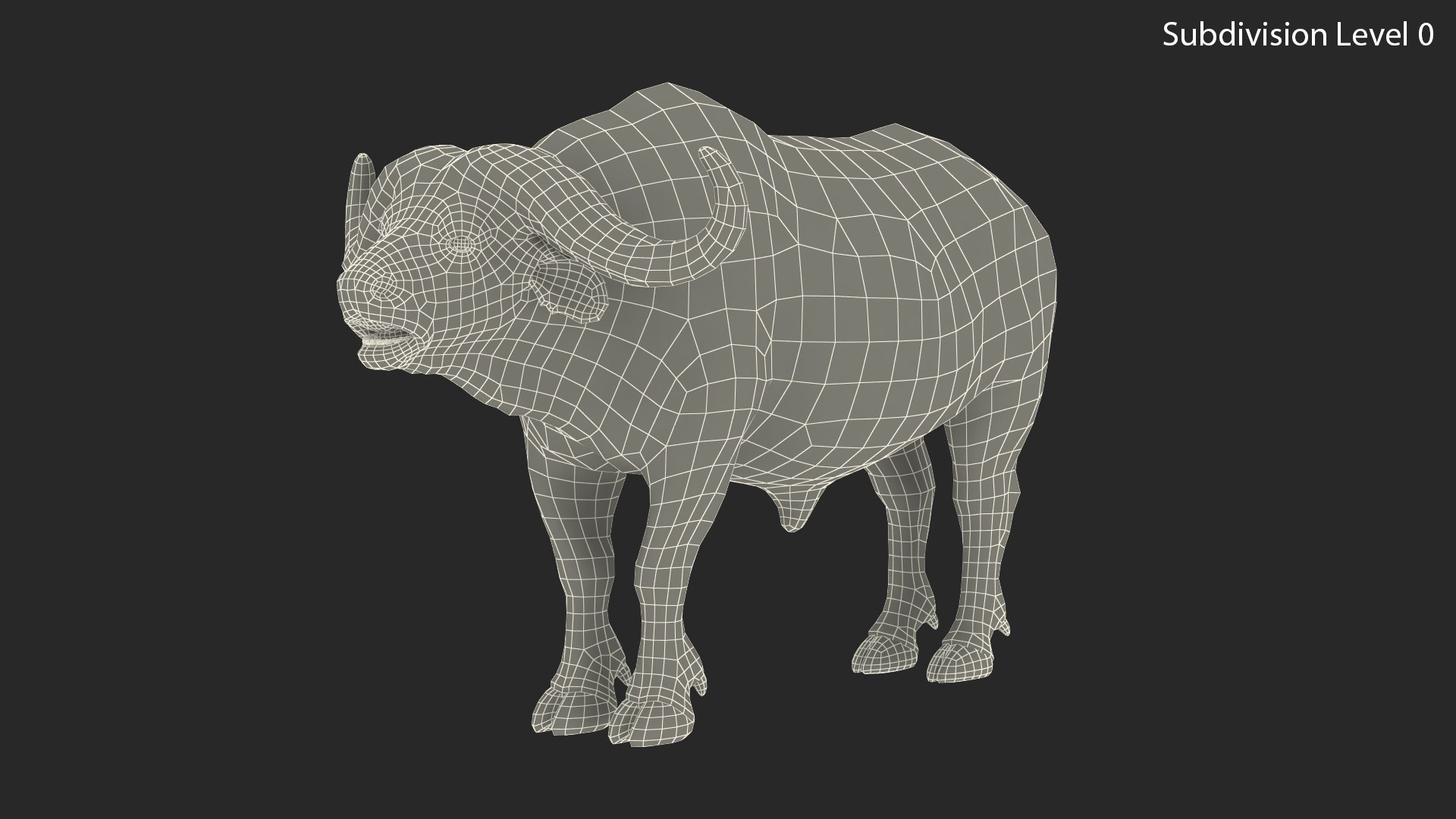 3D cape buffalo african rigged animal https://p.turbosquid.com/ts-thumb/6W/1l8I46/vCjkzpQQ/capebuffaloafricanbuffalorigged3dmodel017/jpg/1590712888/1920x1080/fit_q87/1d8adbd26c47ba8f2caad146c0e39372487040c8/capebuffaloafricanbuffalorigged3dmodel017.jpg