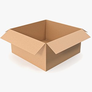 Cardboard box sealed with packing 10