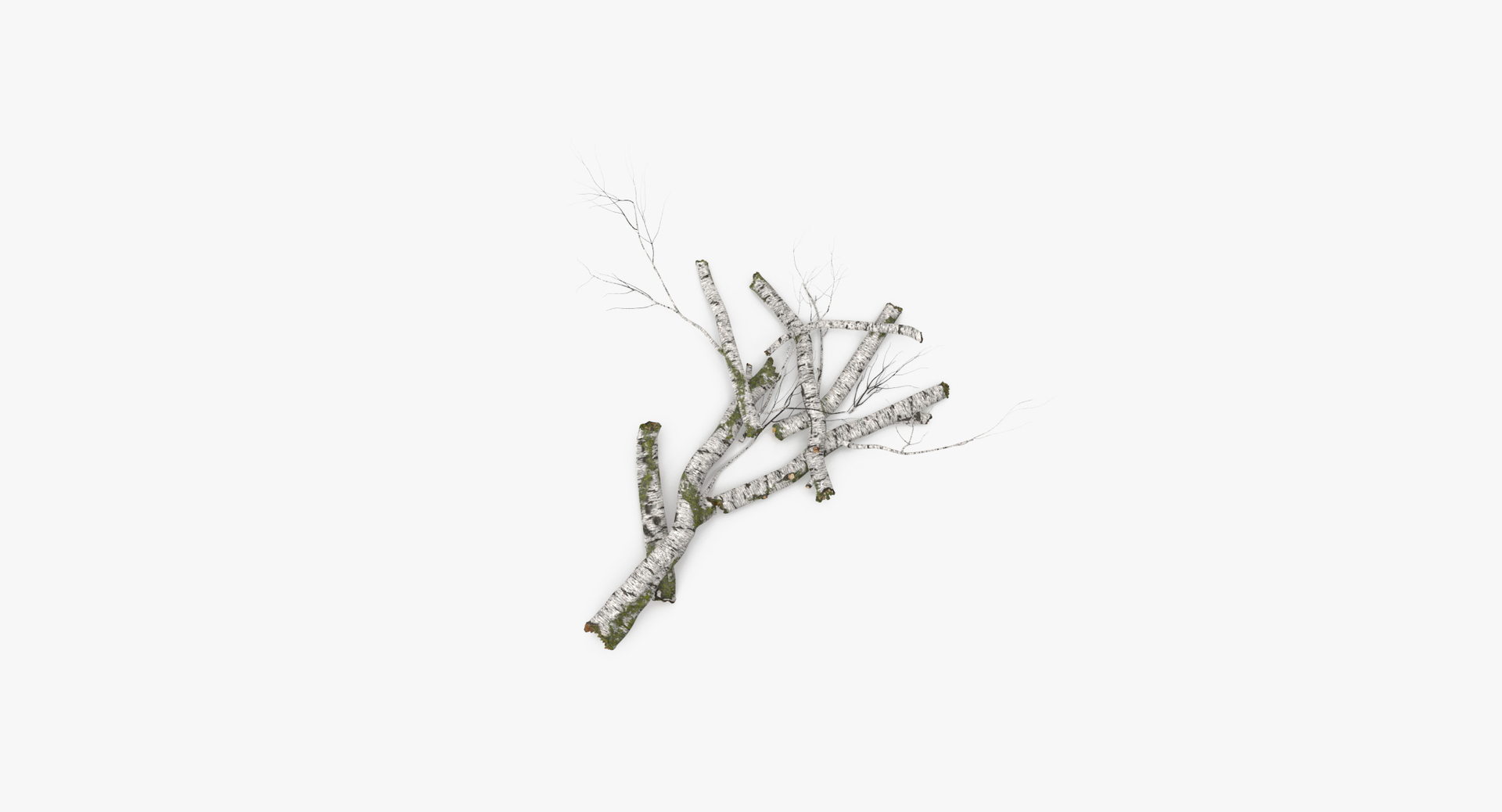 nature object 3d c4d https://p.turbosquid.com/ts-thumb/6W/8Q7E9G/3EkTeGNQ/0000/jpg/1468327782/1920x1080/turn_fit_q99/8261f067e97045cd8cf334e1795277cc5e144b3c/0000-1.jpg