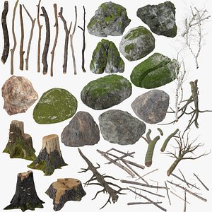 nature object 3d c4d