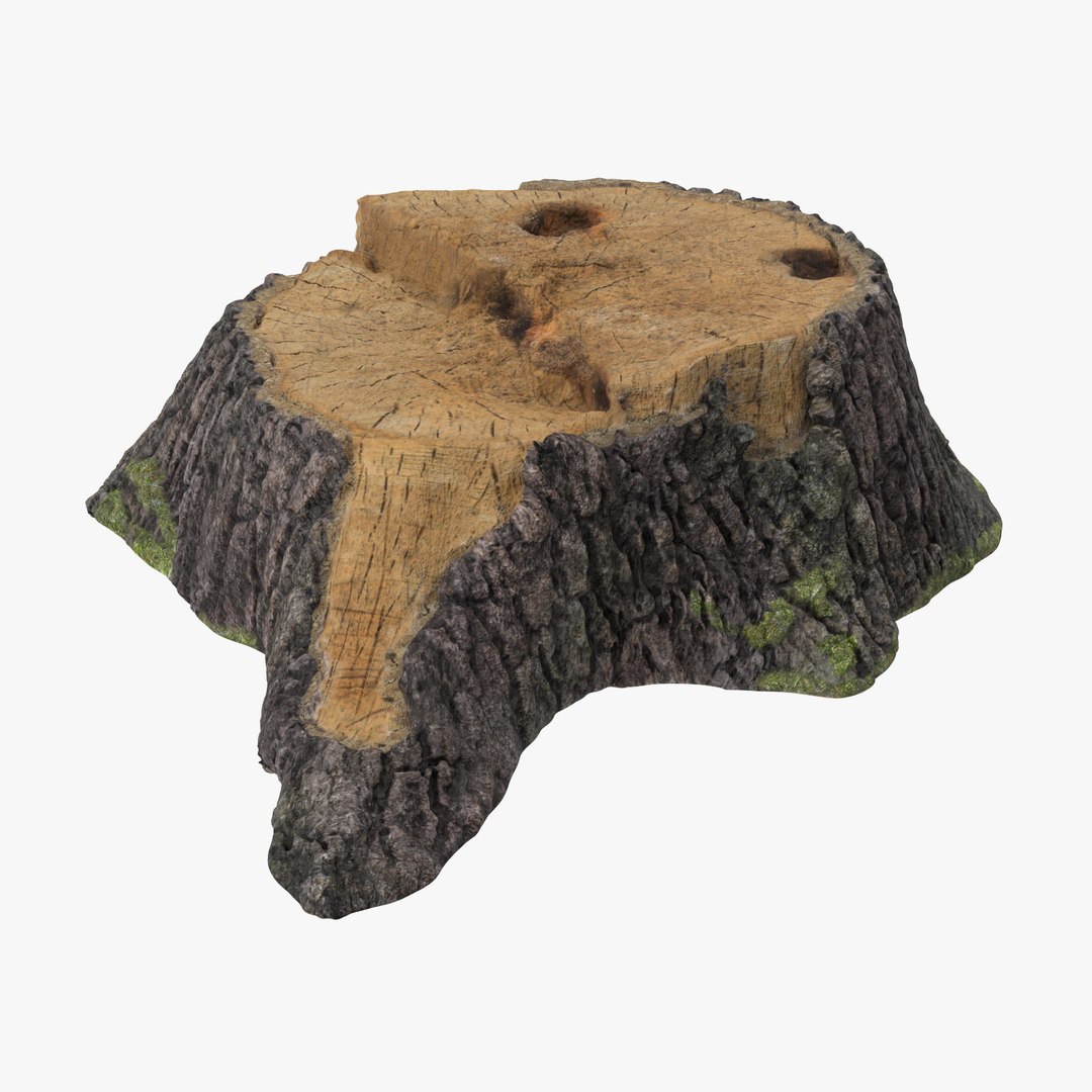 nature object 3d c4d https://p.turbosquid.com/ts-thumb/6W/8Q7E9G/IkD01oxg/tree_stump_01_001_thumbnail_square0000/jpg/1468332884/1920x1080/fit_q87/4e2f66e9642c566ba58efa42a63f03f30df376ed/tree_stump_01_001_thumbnail_square0000.jpg