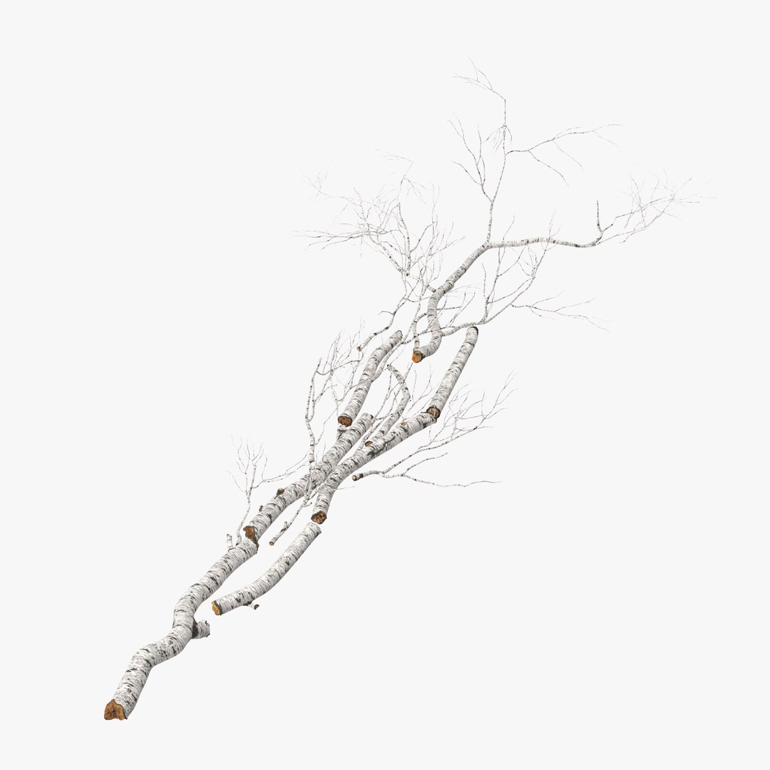 nature object 3d c4d https://p.turbosquid.com/ts-thumb/6W/8Q7E9G/TyOiljHb/fallen_logs_birch_02_001_thumbnail_square0000/jpg/1468326451/1920x1080/fit_q87/9ba927ff0f5c3073cbaddaf195294e57c73c79f2/fallen_logs_birch_02_001_thumbnail_square0000.jpg