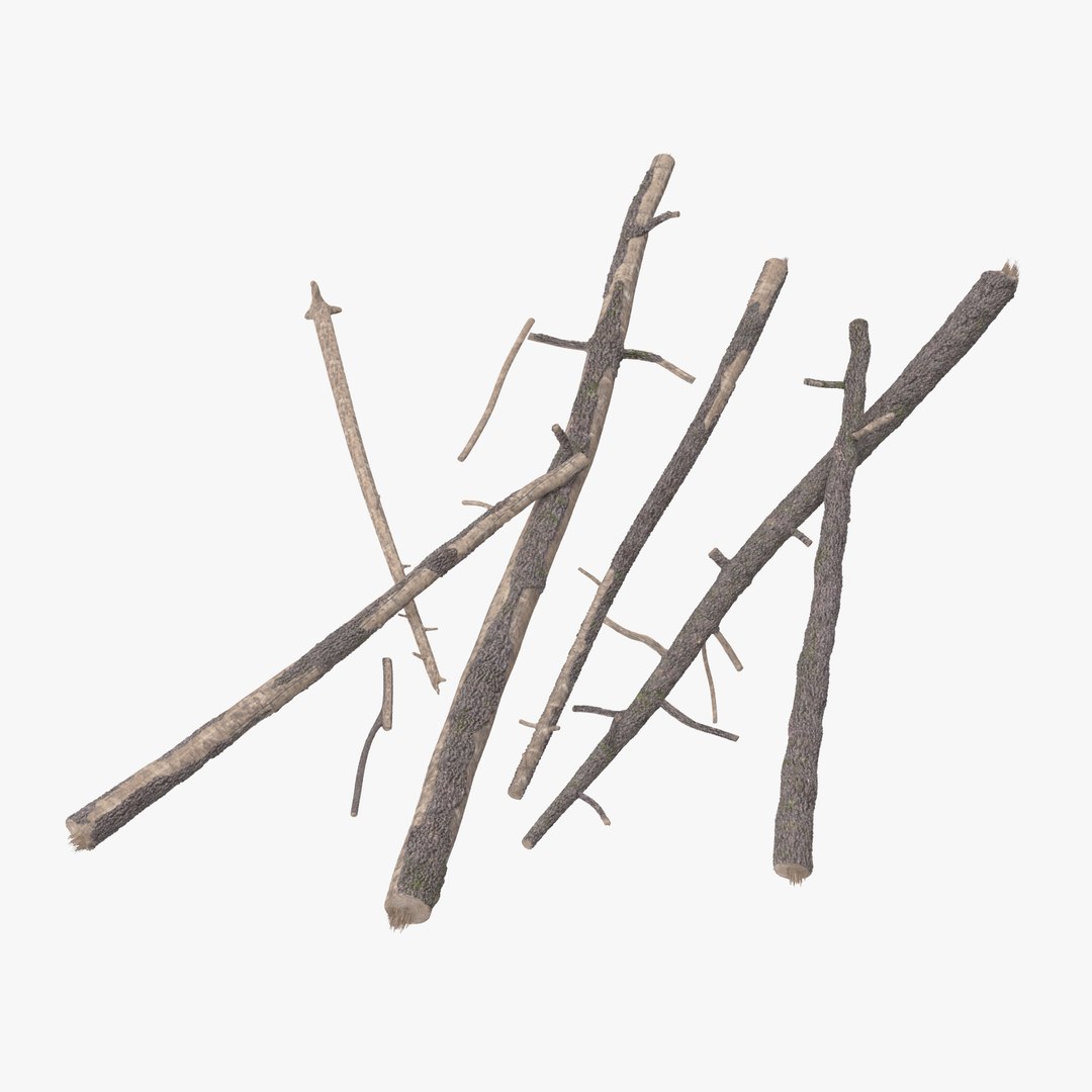 nature object 3d c4d https://p.turbosquid.com/ts-thumb/6W/8Q7E9G/USl2xFms/fallen_logs_pine_02_001_thumbnail_square0000/jpg/1468330762/1920x1080/fit_q87/eea518f72bad28beee633a021b8e16e53a91f123/fallen_logs_pine_02_001_thumbnail_square0000.jpg