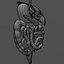 digestive system