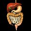 digestive system