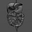 digestive system