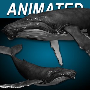 木彫　ザトウクジラ Humpback whale　31㎝ 木彫 ザトウクジラ Humpback whale 31㎝