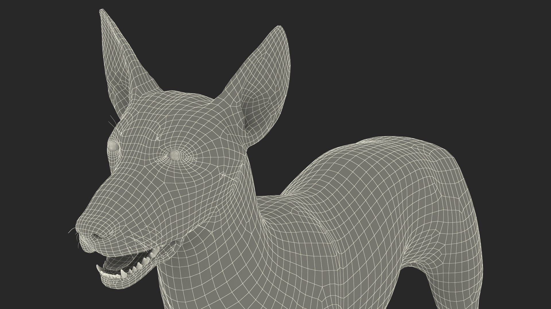 3D Xolo Hairless Mexican Dog Fawn Rigged for Cinema 4D model https://p.turbosquid.com/ts-thumb/6W/J3dj8U/6n/xolohairlessmexicandogfawnriggedforcinema4d3dsmodel029/jpg/1693265418/1920x1080/fit_q87/8154868175da9893ddc1df31d164bc09c6cc06ec/xolohairlessmexicandogfawnriggedforcinema4d3dsmodel029.jpg