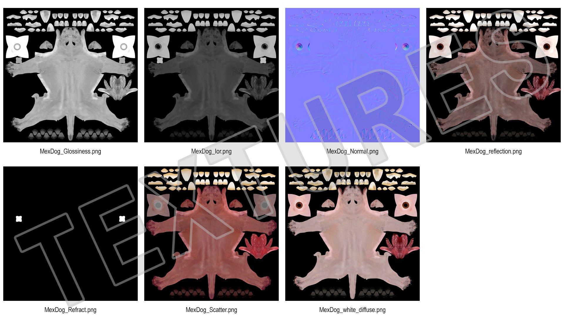 3D Xolo Hairless Mexican Dog Fawn Rigged for Cinema 4D model https://p.turbosquid.com/ts-thumb/6W/J3dj8U/92/xolohairlessmexicandogfawnriggedforcinema4d3dsmodel024/jpg/1693265397/1920x1080/fit_q87/f9a355c925921507bdaa8ff19b11ccb235f2f9a4/xolohairlessmexicandogfawnriggedforcinema4d3dsmodel024.jpg