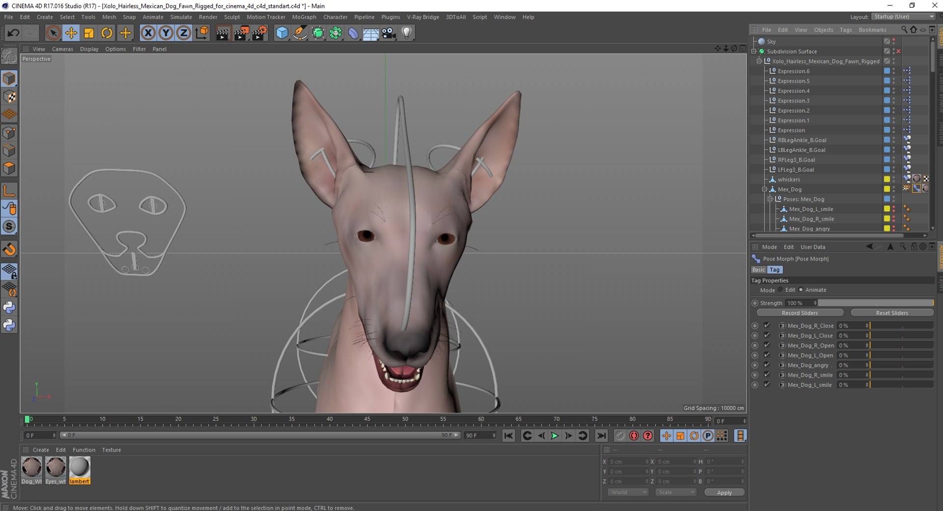 3D Xolo Hairless Mexican Dog Fawn Rigged for Cinema 4D model https://p.turbosquid.com/ts-thumb/6W/J3dj8U/DU/xolohairlessmexicandogfawnriggedforcinema4d3dsmodel043/jpg/1693265449/1920x1080/fit_q87/8a2f8107fb32fc6e7c21c00137b3fea4a3c06e09/xolohairlessmexicandogfawnriggedforcinema4d3dsmodel043.jpg