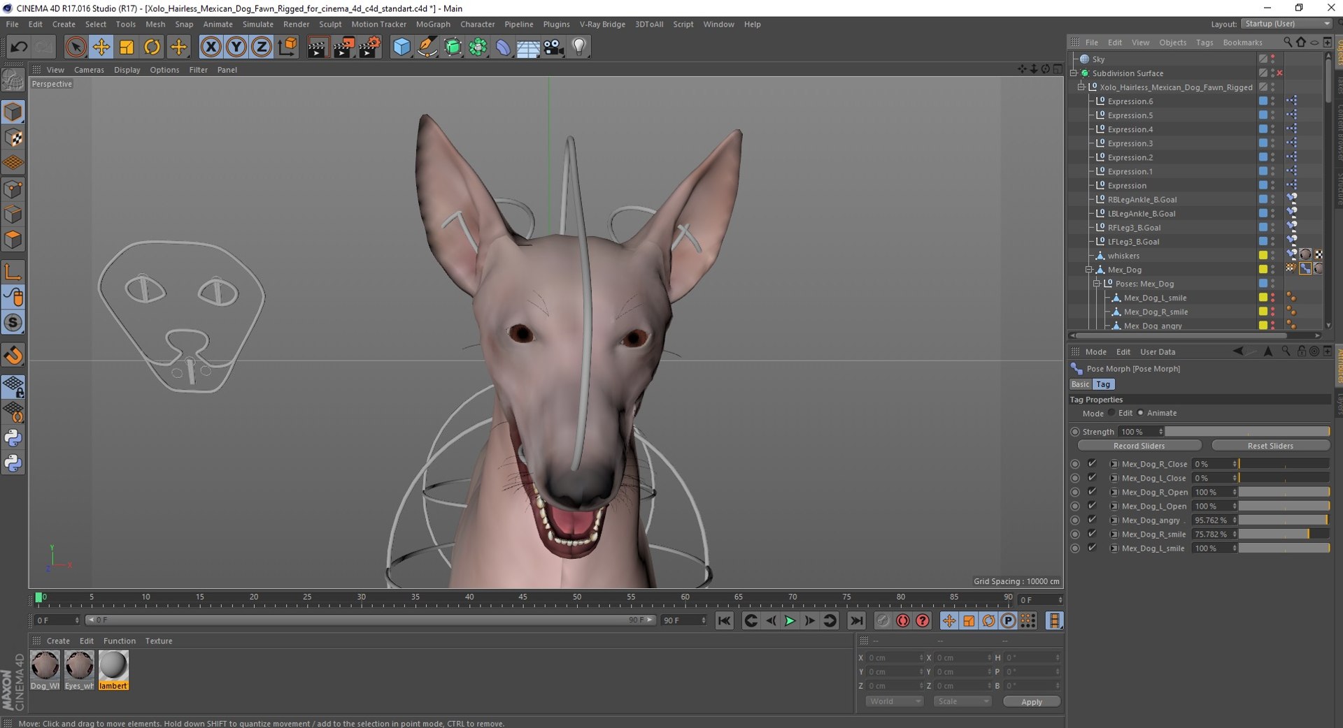 3D Xolo Hairless Mexican Dog Fawn Rigged for Cinema 4D model https://p.turbosquid.com/ts-thumb/6W/J3dj8U/Fj/xolohairlessmexicandogfawnriggedforcinema4d3dsmodel044/jpg/1693265453/1920x1080/fit_q87/0769a26ffe0fc72ba9e4bcda16f8cd360504b84f/xolohairlessmexicandogfawnriggedforcinema4d3dsmodel044.jpg