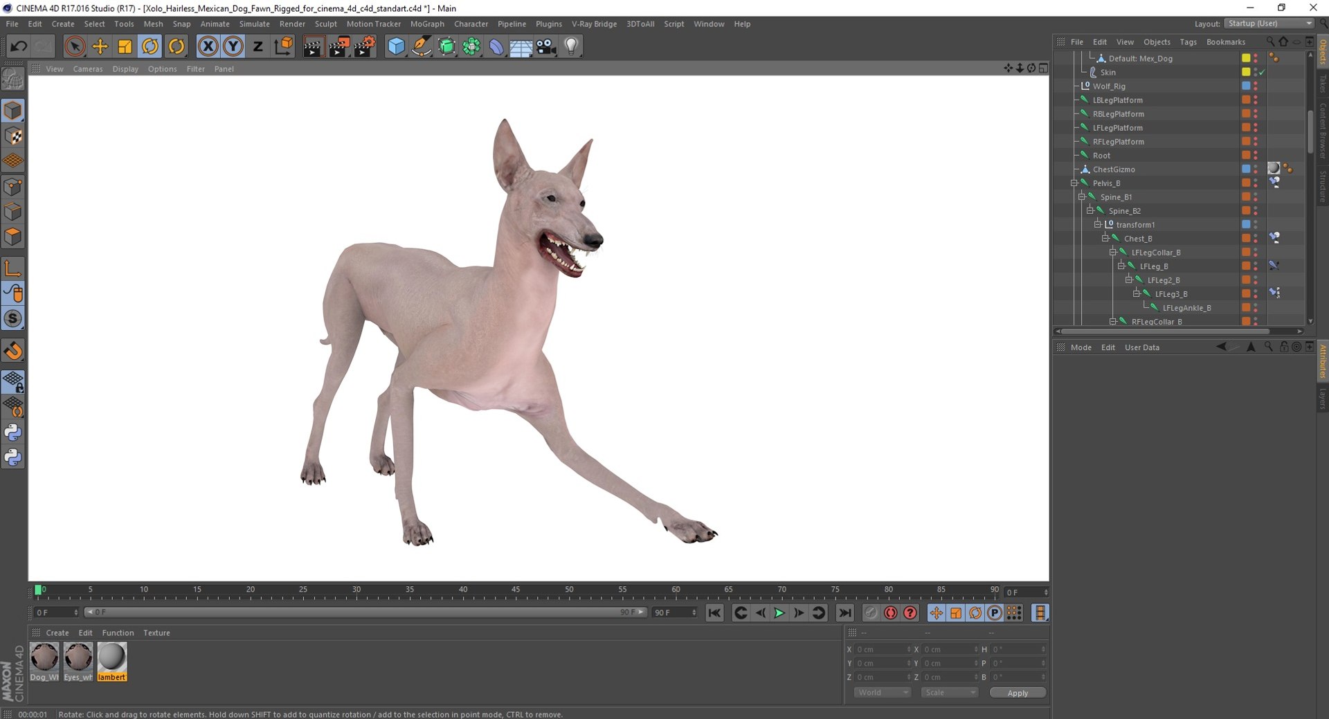 3D Xolo Hairless Mexican Dog Fawn Rigged for Cinema 4D model https://p.turbosquid.com/ts-thumb/6W/J3dj8U/H0/xolohairlessmexicandogfawnriggedforcinema4d3dsmodel042/jpg/1693265445/1920x1080/fit_q87/41a45f8dda5c293f2a048243bcaf64535585b4aa/xolohairlessmexicandogfawnriggedforcinema4d3dsmodel042.jpg