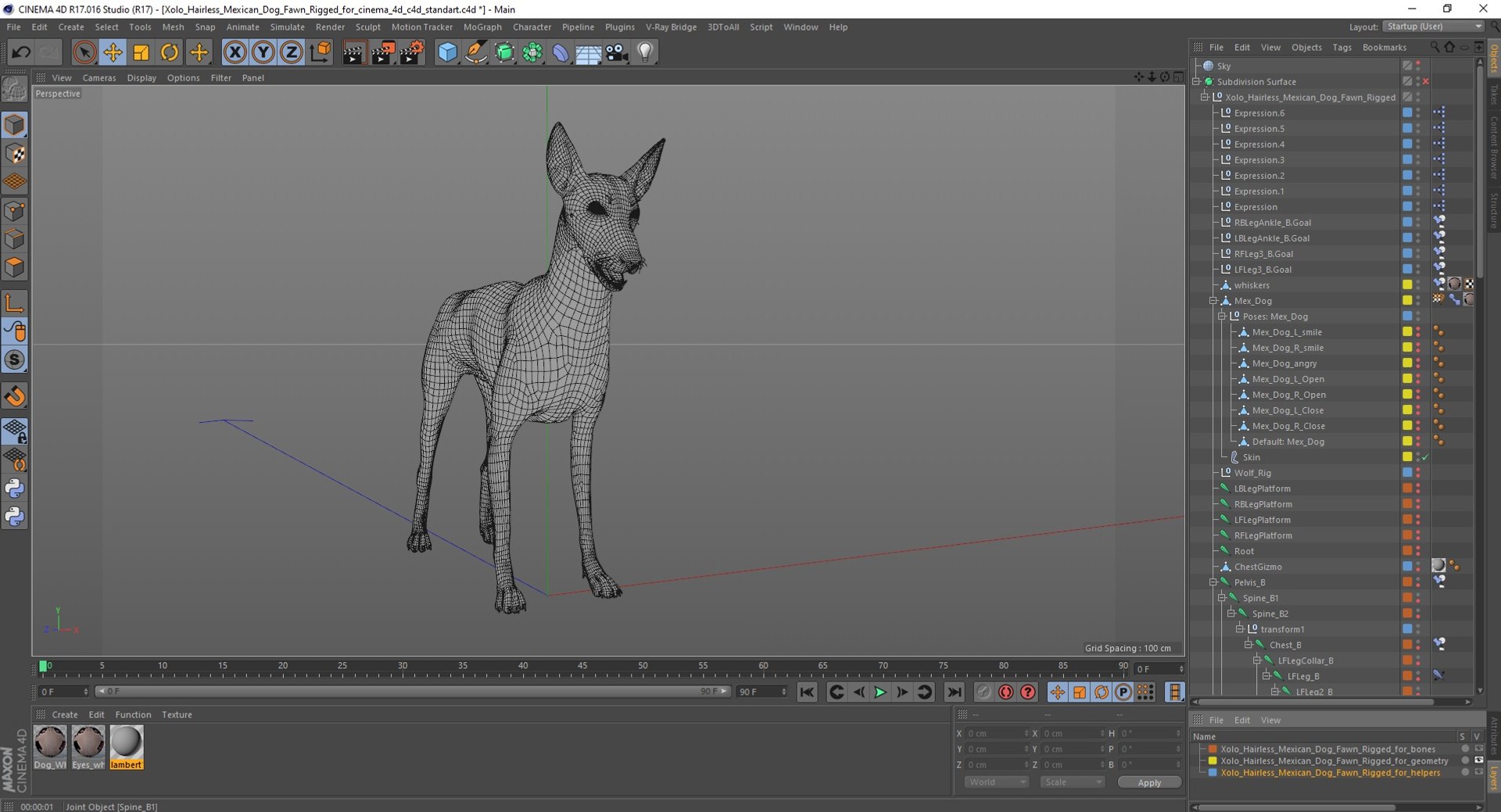 3D Xolo Hairless Mexican Dog Fawn Rigged for Cinema 4D model https://p.turbosquid.com/ts-thumb/6W/J3dj8U/Ui/xolohairlessmexicandogfawnriggedforcinema4d3dsmodel040/jpg/1693265438/1920x1080/fit_q87/f63a3691e60ee75ff409b96e24a04be3cf341787/xolohairlessmexicandogfawnriggedforcinema4d3dsmodel040.jpg