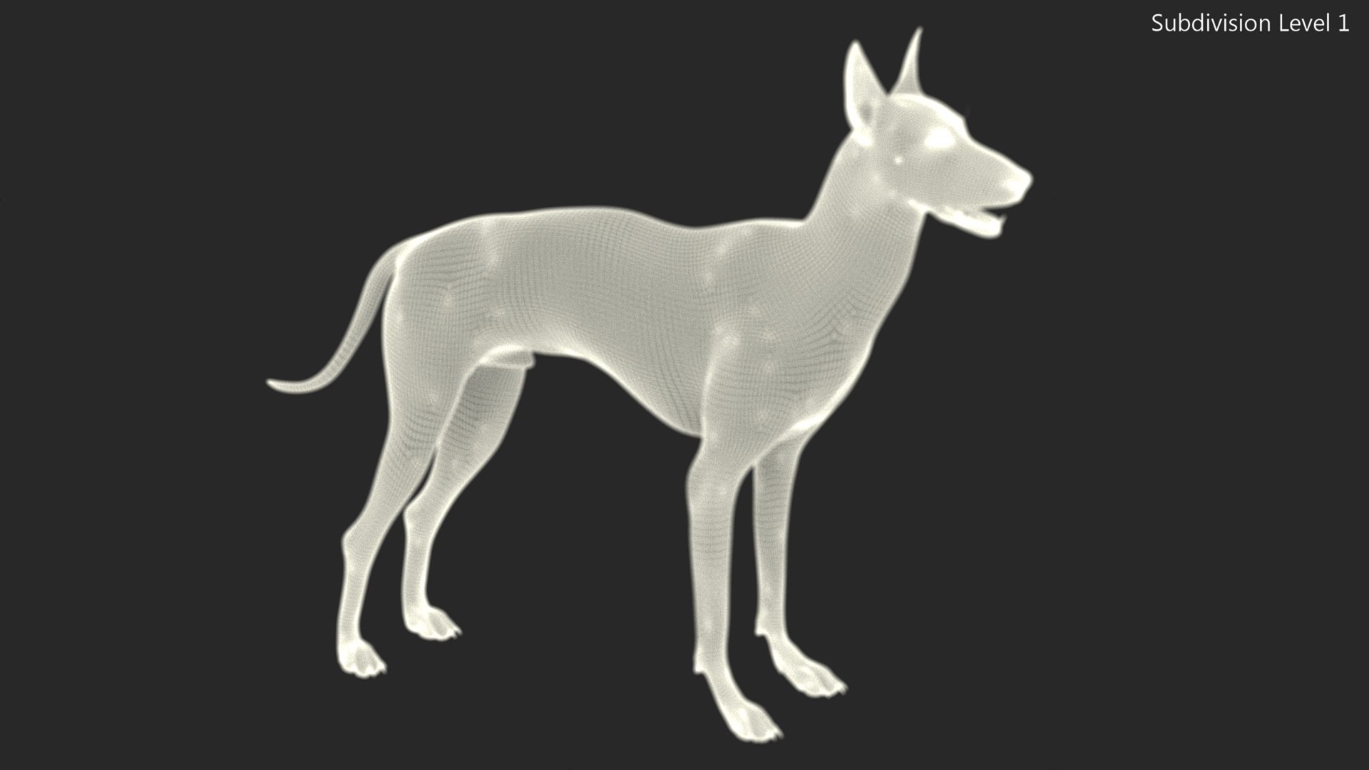 3D Xolo Hairless Mexican Dog Fawn Rigged for Cinema 4D model https://p.turbosquid.com/ts-thumb/6W/J3dj8U/X9/xolohairlessmexicandogfawnriggedforcinema4d3dsmodel022/jpg/1693265388/1920x1080/fit_q87/827ecddcb16edb4978b7715ff01be24668d095a4/xolohairlessmexicandogfawnriggedforcinema4d3dsmodel022.jpg