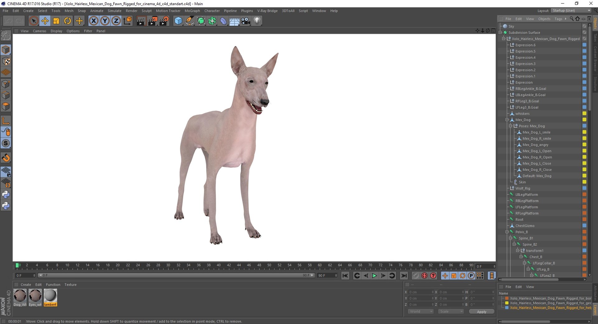 3D Xolo Hairless Mexican Dog Fawn Rigged for Cinema 4D model https://p.turbosquid.com/ts-thumb/6W/J3dj8U/XC/xolohairlessmexicandogfawnriggedforcinema4d3dsmodel039/jpg/1693265434/1920x1080/fit_q87/4da919852b09e4d92e949dd5145b09aac381b357/xolohairlessmexicandogfawnriggedforcinema4d3dsmodel039.jpg