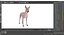 Xolo Hairless Mexican Dog Fawn Rigged for Cinema 4D