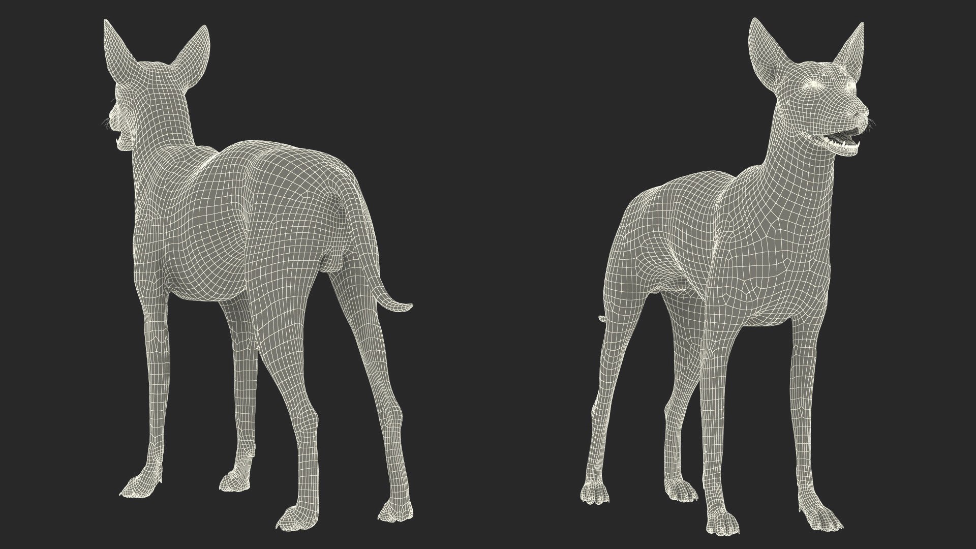 3D Xolo Hairless Mexican Dog Fawn Rigged for Cinema 4D model https://p.turbosquid.com/ts-thumb/6W/J3dj8U/nk/xolohairlessmexicandogfawnriggedforcinema4d3dsmodel026/jpg/1693265407/1920x1080/fit_q87/515fbb22eb6d43c1d1e27419df6ac74e70b922ea/xolohairlessmexicandogfawnriggedforcinema4d3dsmodel026.jpg