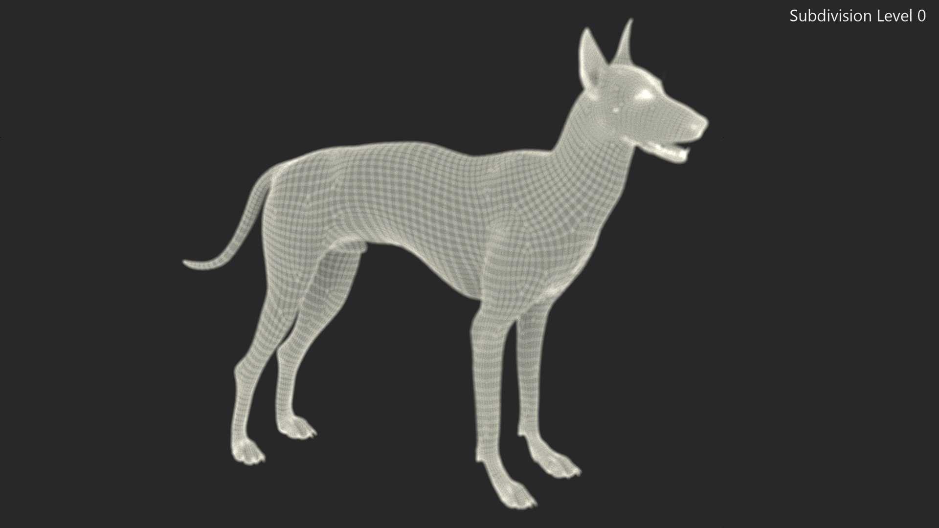 3D Xolo Hairless Mexican Dog Fawn Rigged for Cinema 4D model https://p.turbosquid.com/ts-thumb/6W/J3dj8U/qq/xolohairlessmexicandogfawnriggedforcinema4d3dsmodel021/jpg/1693265384/1920x1080/fit_q87/2b9f4cf63044d9f1d5611e52c6614b46727548af/xolohairlessmexicandogfawnriggedforcinema4d3dsmodel021.jpg