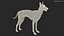 Xolo Hairless Mexican Dog Fawn Rigged for Cinema 4D