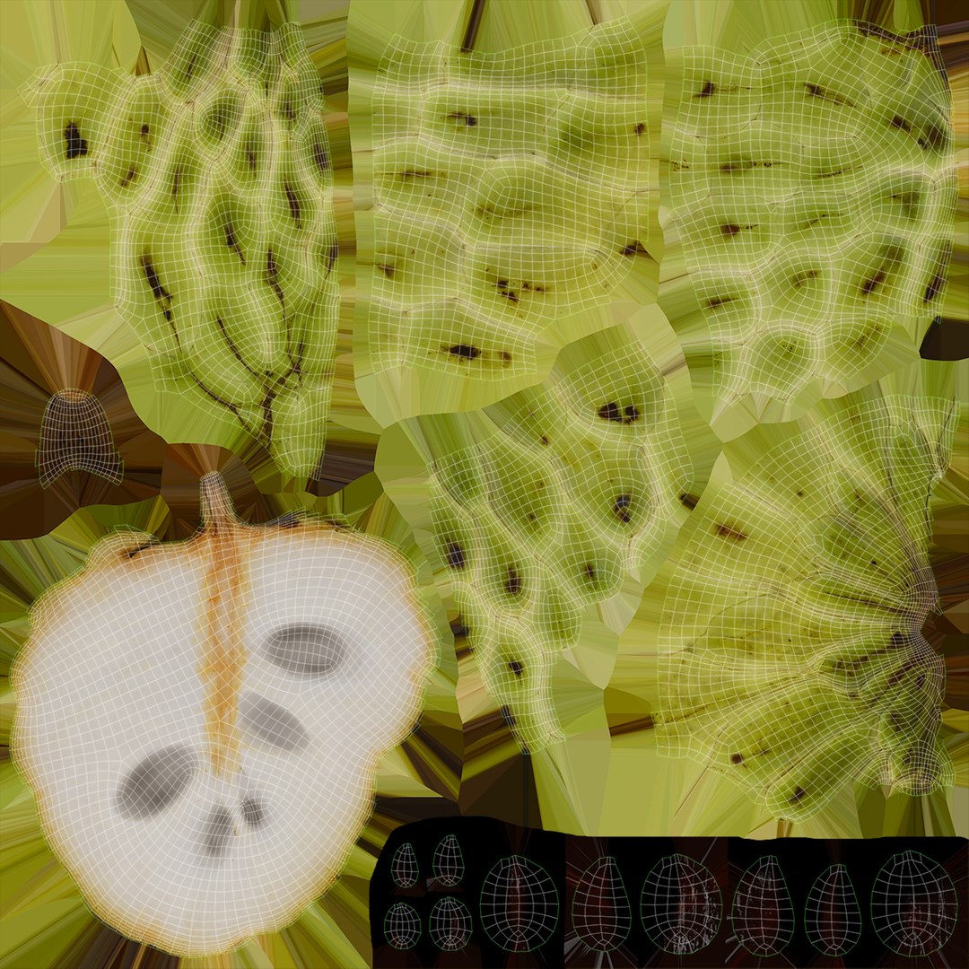 3D Fruit and Half Collection 2 model https://p.turbosquid.com/ts-thumb/6W/REcANu/5s/wholehalfcherimoya_f0005/jpg/1663757545/1920x1080/fit_q87/e1eb70948f6386a1d3f3add351a8dd348cc5be4a/wholehalfcherimoya_f0005.jpg
