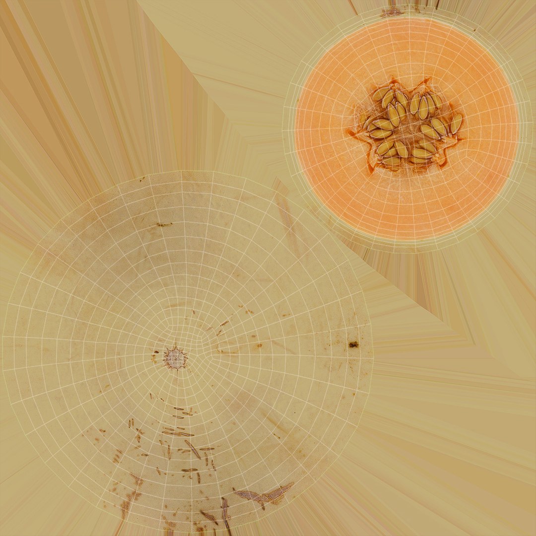 3D Fruit and Half Collection 2 model https://p.turbosquid.com/ts-thumb/6W/REcANu/OA/lemon_rr_35/jpg/1663757226/1920x1080/fit_q87/cd4f6a61e33af0a49b65e442487eb73c3e2c6154/lemon_rr_35.jpg
