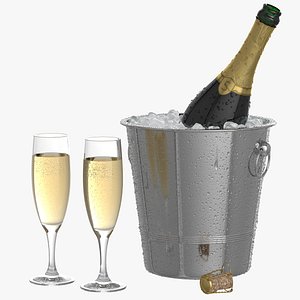 Opened Champagne Bottle On Ice Bucket 3D