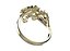 Ring  145