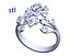 Ring  145