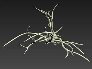 branch_tree_trunk