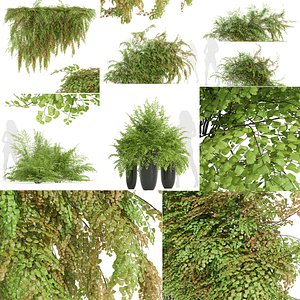 5Different SETS of Plant Wall Set Vol 42