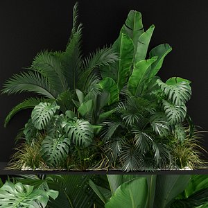 Plants collection 357