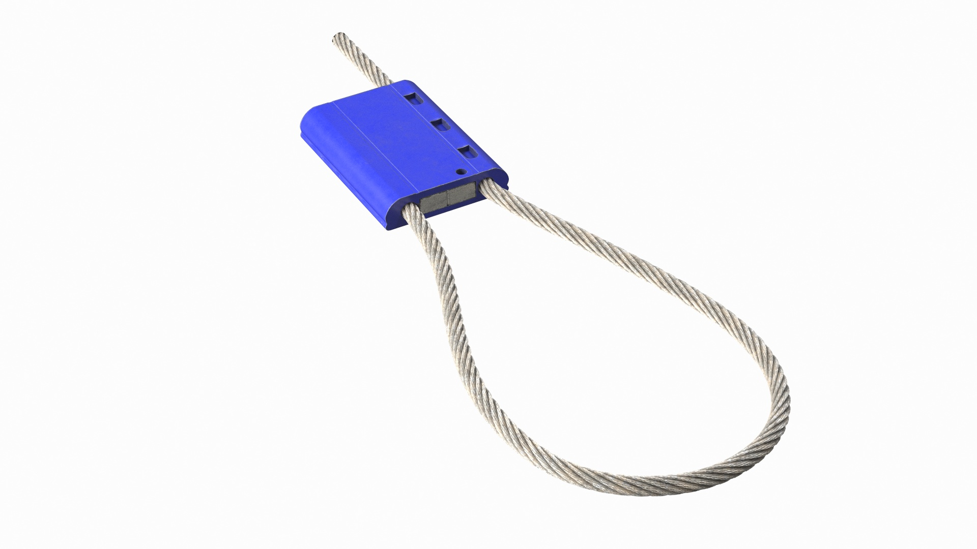 Blue Tight Steel Cable Seal Loop Model - TurboSquid 2051634